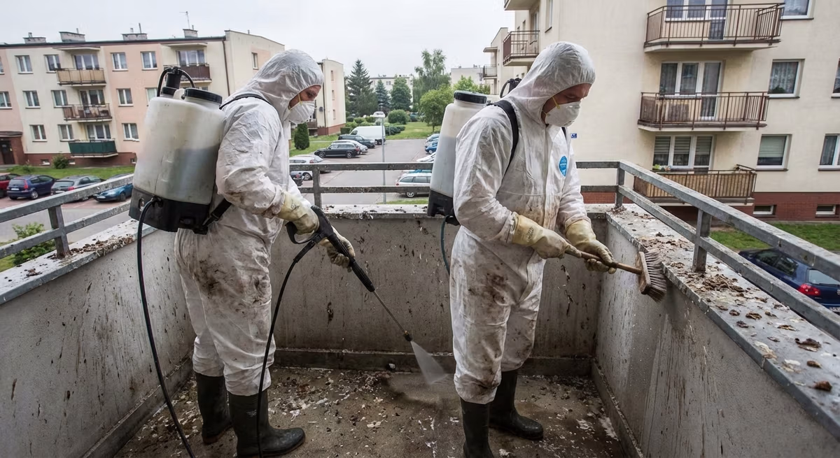 Specjaliści Bestclean24 usuwający zapachy w Olsztynie