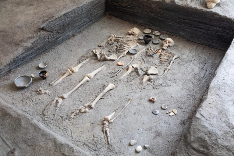 leżące obok siebie szkielety