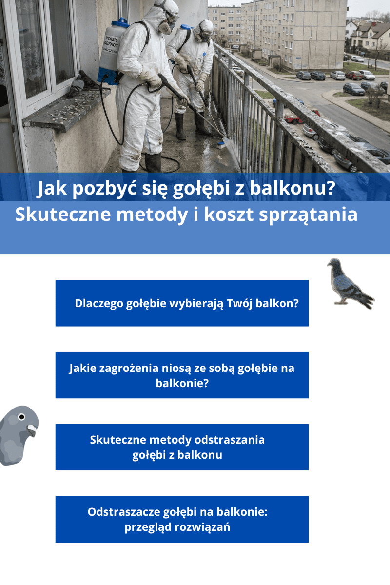 Jak pozbyć się gołębi z balkonu?