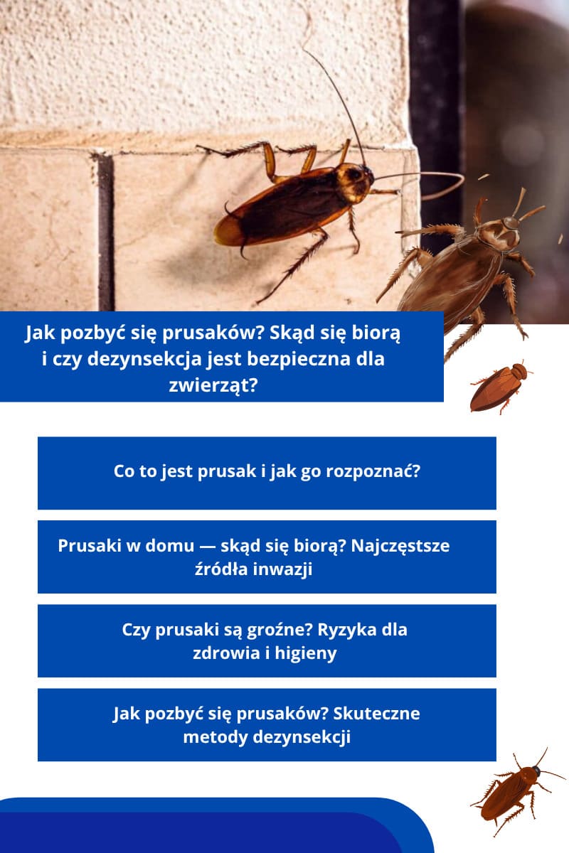 Jak pozbyć sie prusaków