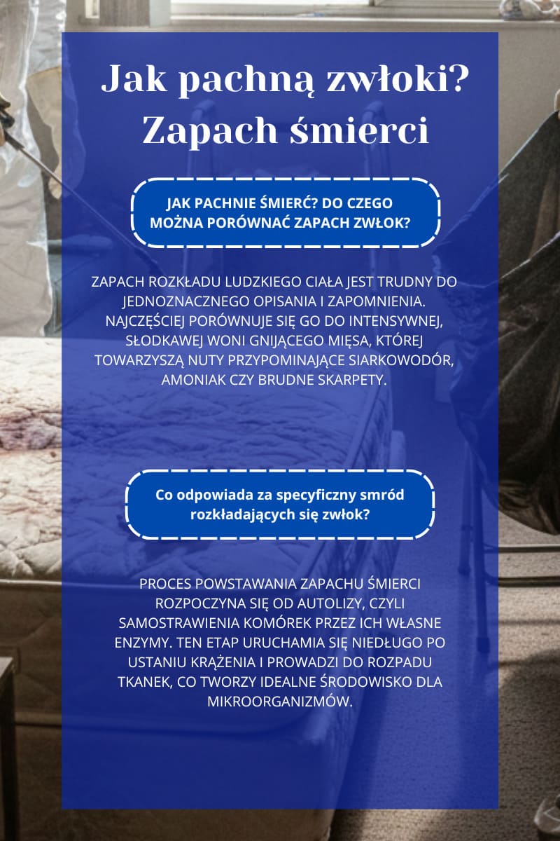 Jak pachną zwłoki?