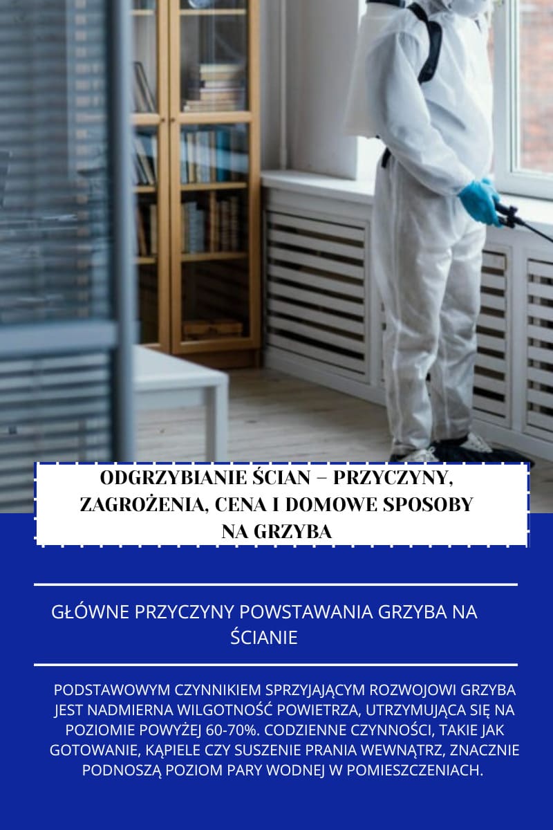 Odgrzybianie ścian - przyczyny