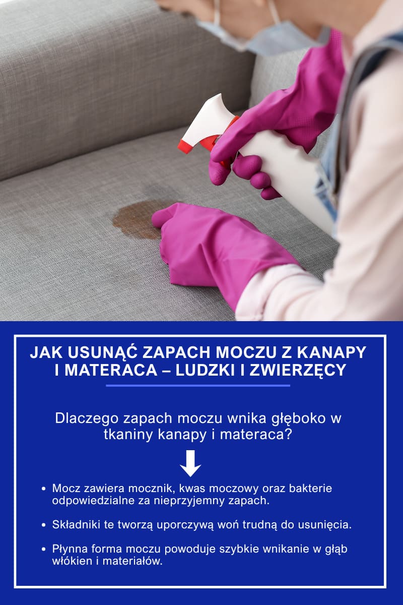 Jak usunąć zapach moczu z kanapy i materaca – ludzki i zwierzęcy